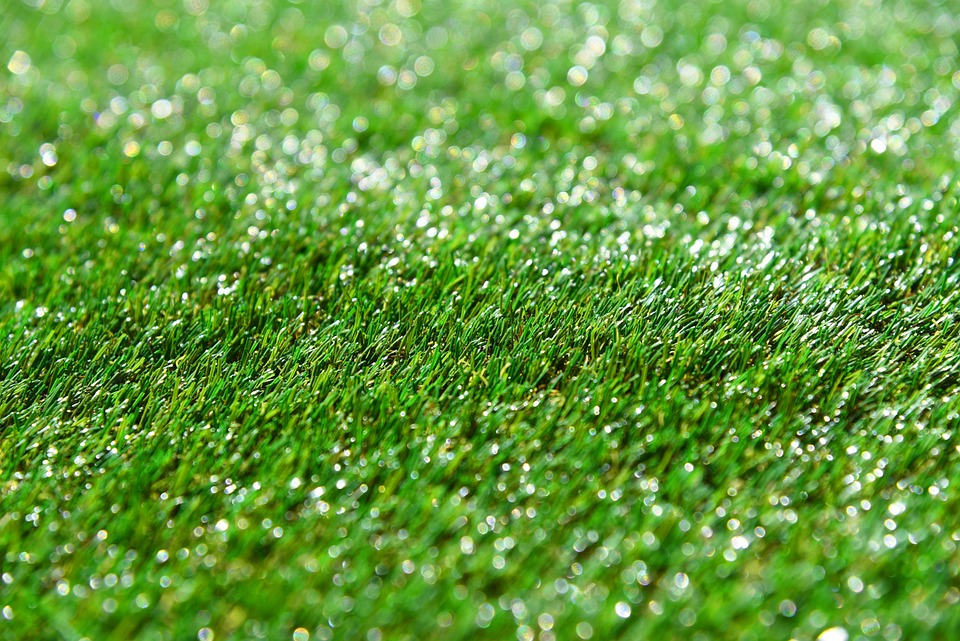 Close-up of artificial Grass