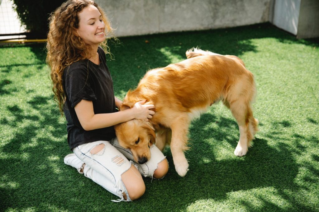 Woman petting dog on artificial grass