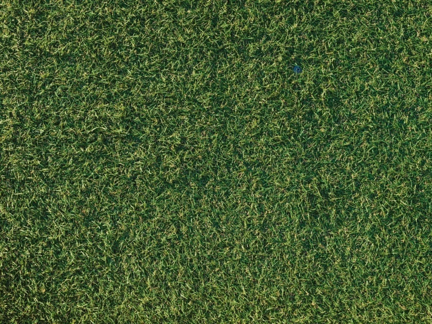 Top view of synthetic grass
