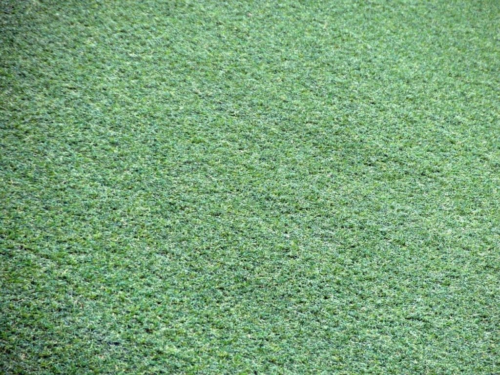 close-up of artificial turf
