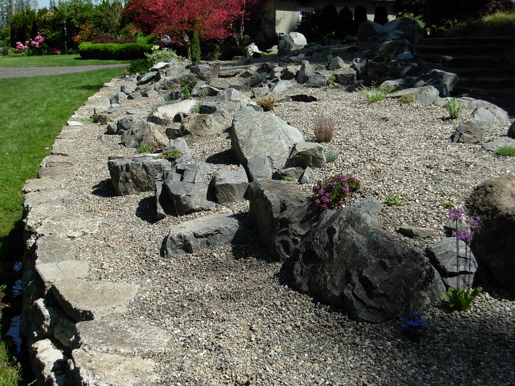 A close-up of a rock garden