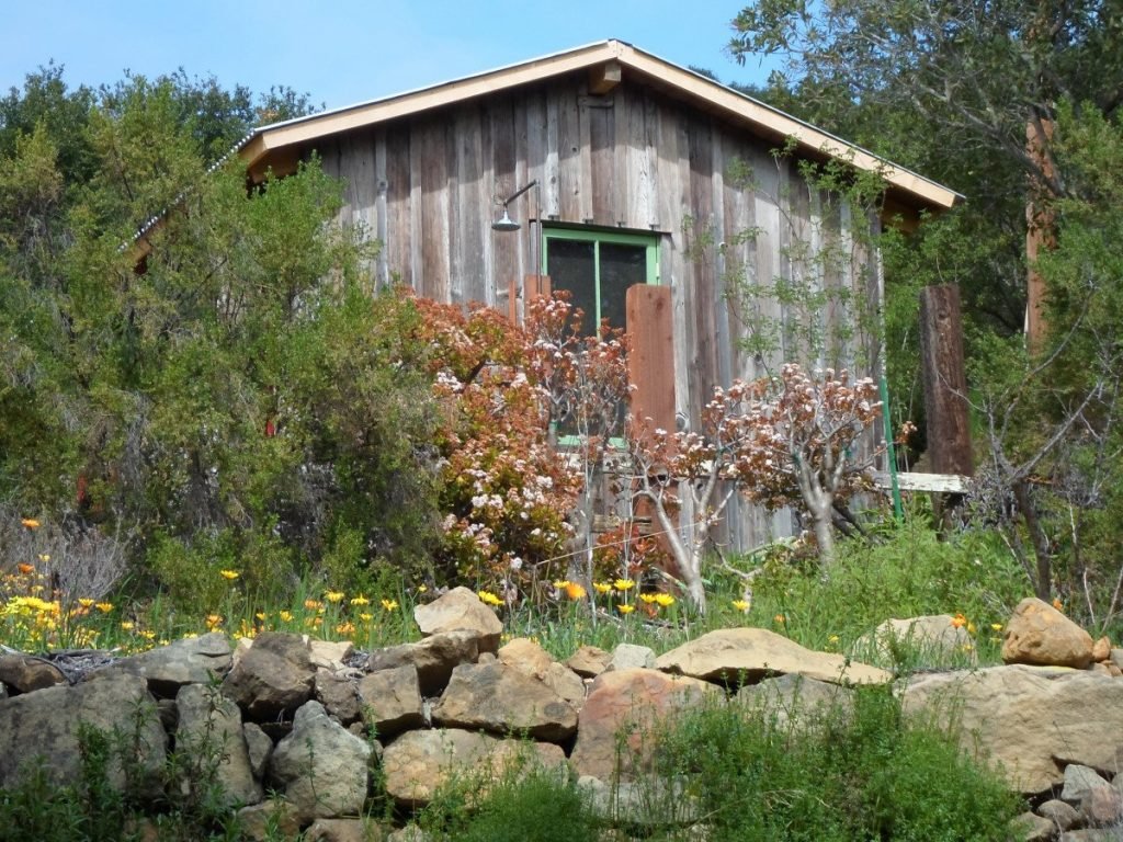 A small yard in front of a house