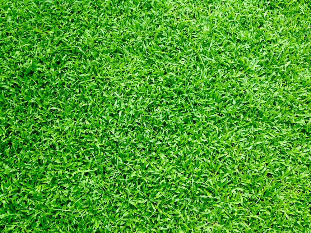A patch of artificial grass