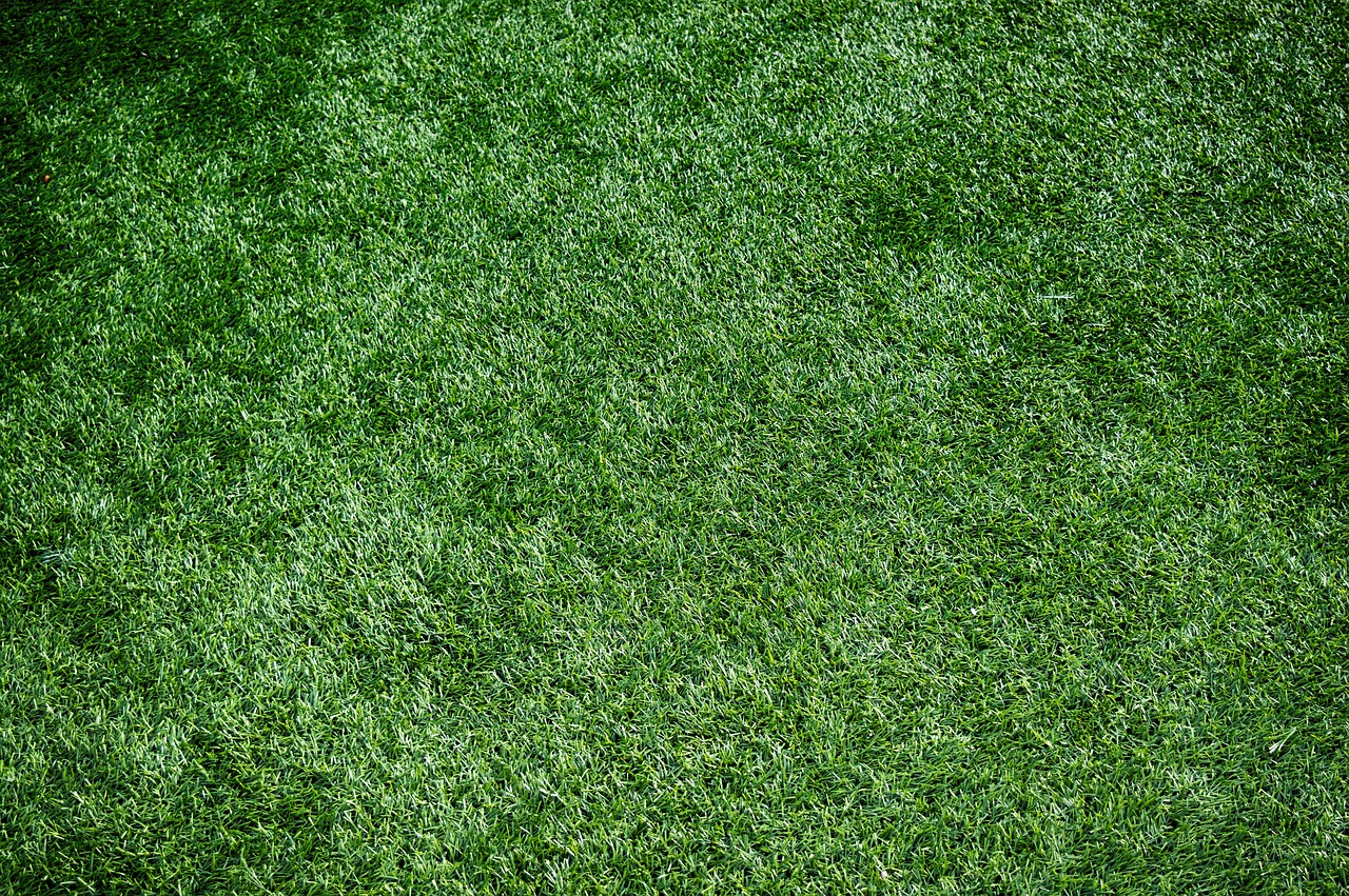 Close-up of artificial grass