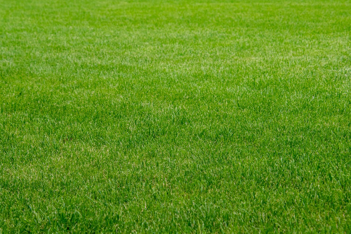 A close-up of artificial grass