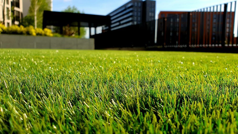 Artificial grass near a home