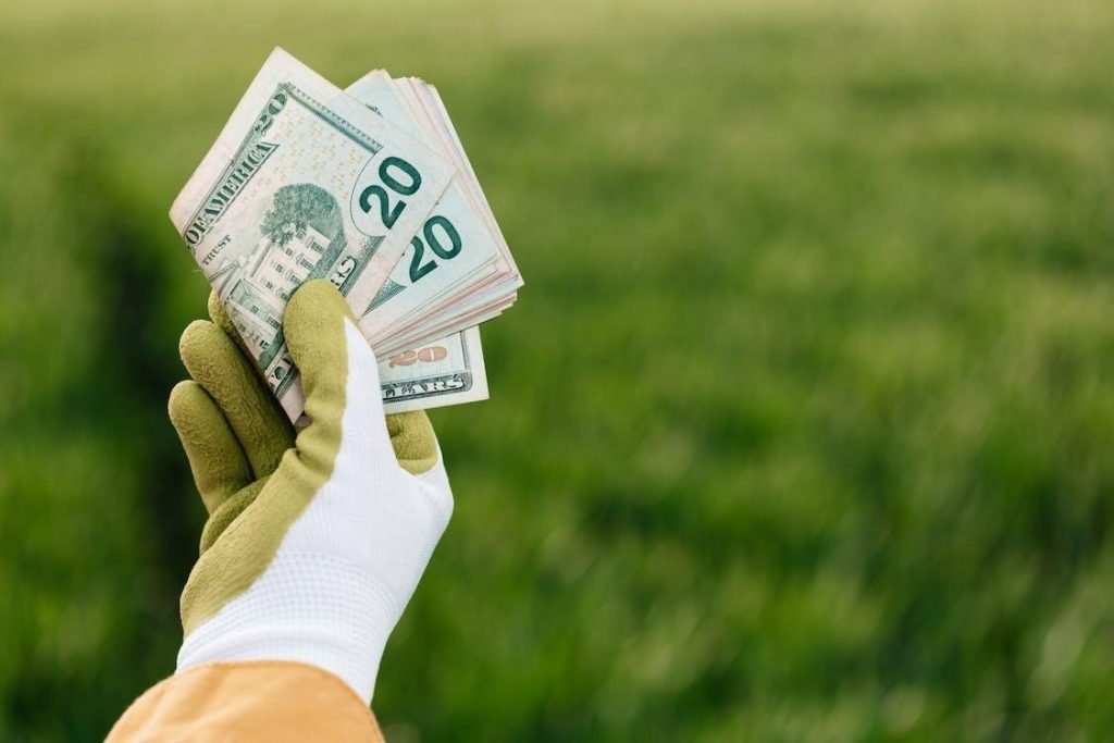 Unveiling the Cost-Effectiveness of Artificial Grass Budget-Friendly Beauty