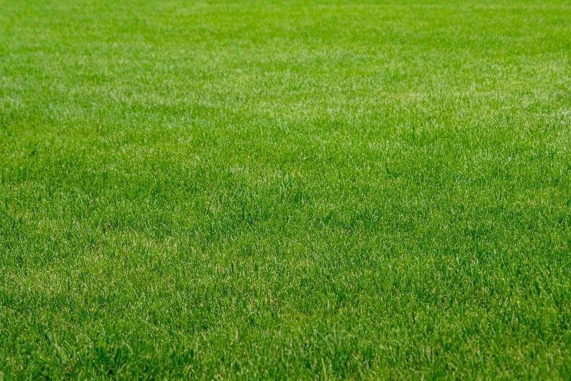 A close up of artificial grass