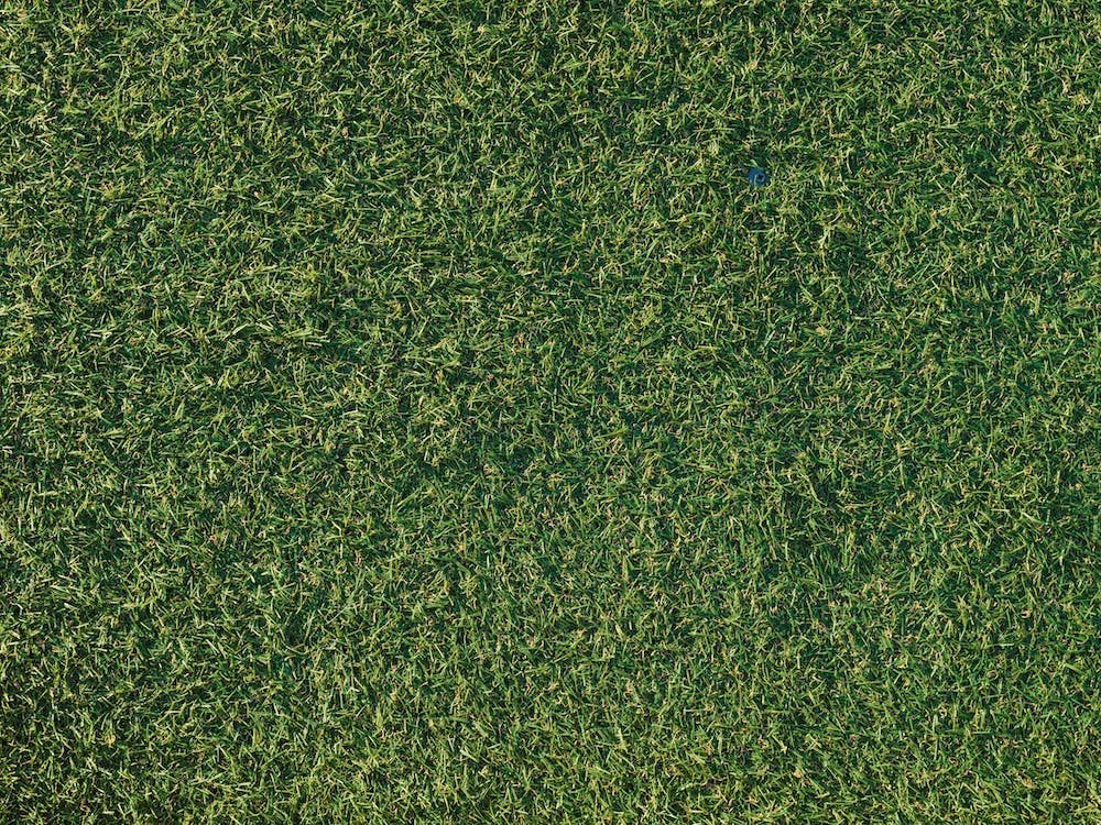 A patch of artificial grass