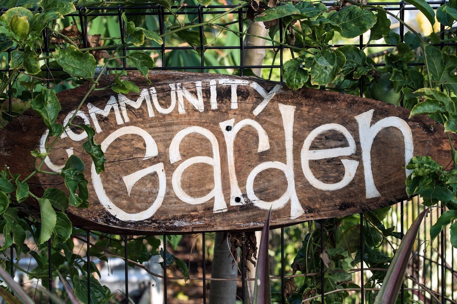 A wooden sign for the community garden