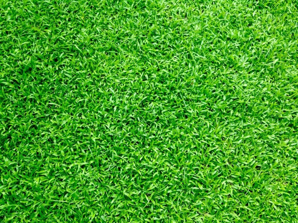 Artificial grass flooring creating a cozy and stylish lounge area at a rooftop bar
