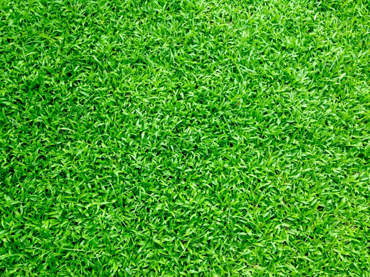 Artificial grass flooring creating a cozy and stylish lounge area at a rooftop bar