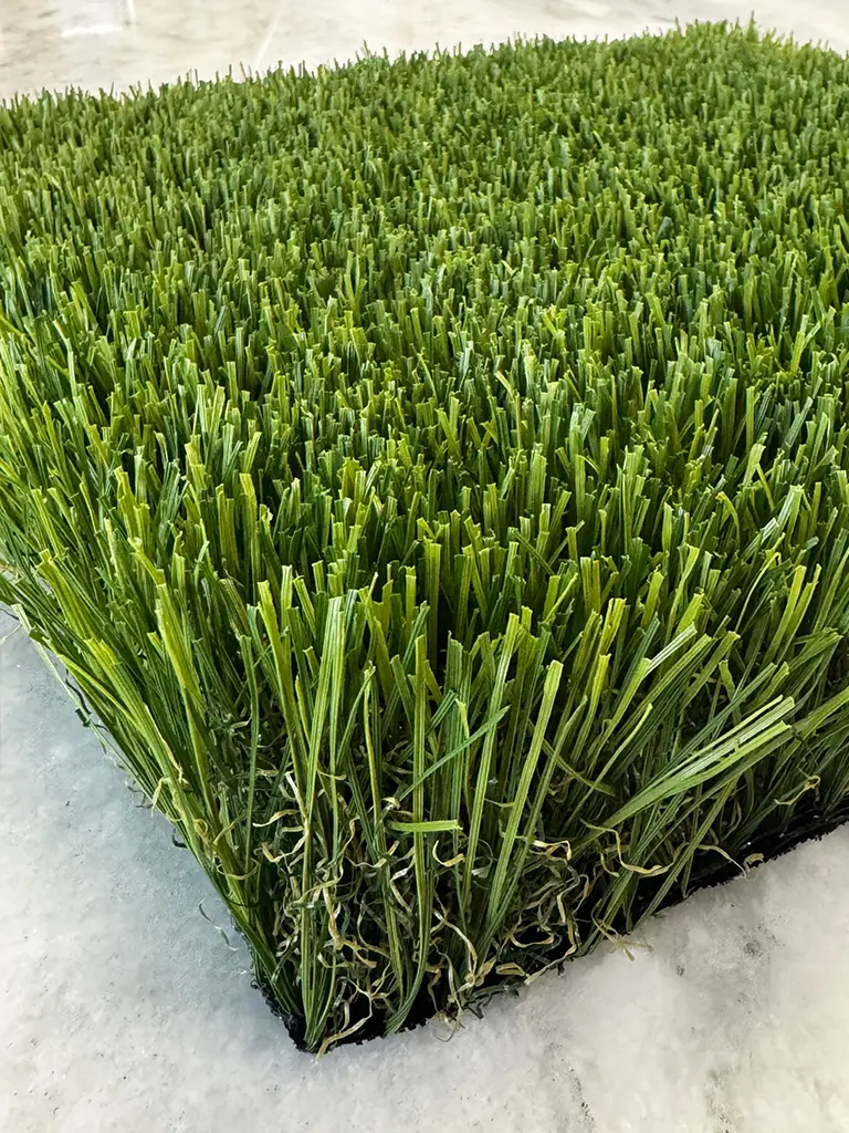 Luxurious Clover