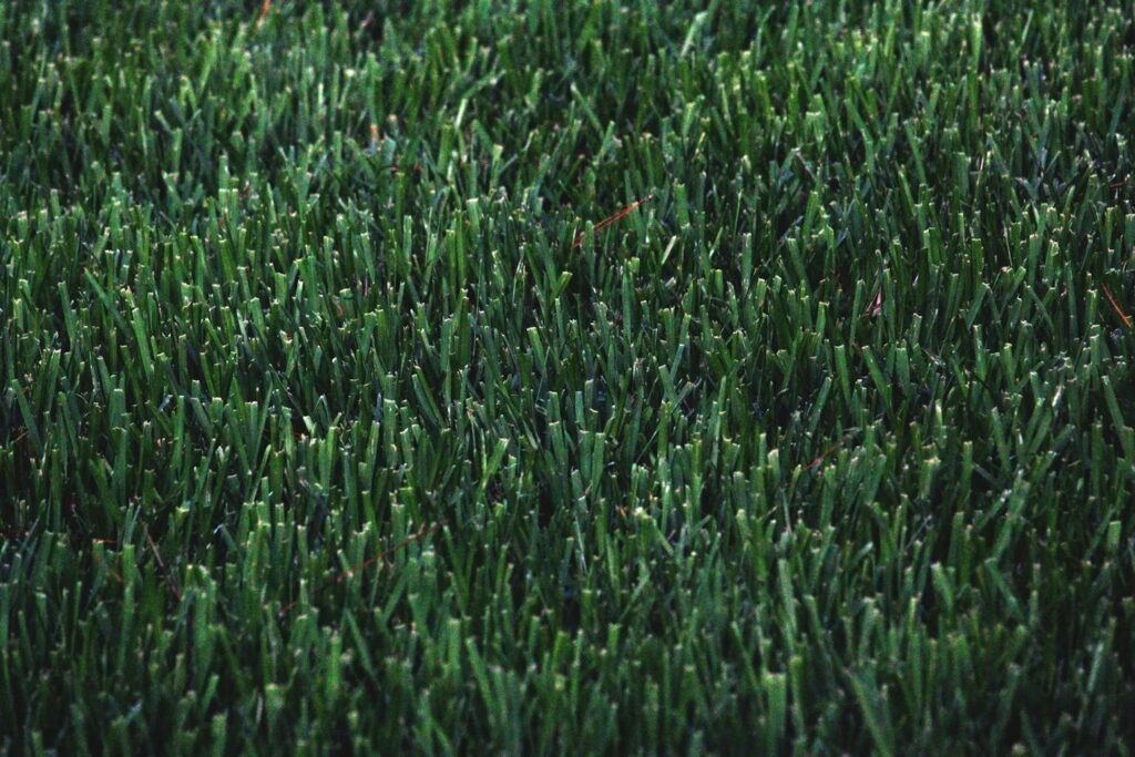 A close-up of artificial turf