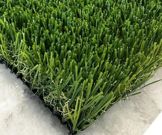 Rolled out view of Elite Jasper turf for premium lawns