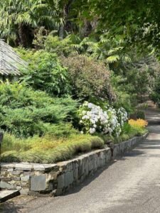 plants, bushes and flowers on the side of a path with concrete curbing