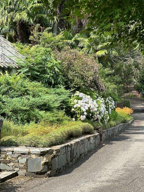 plants, bushes and flowers on the side of a path with concrete curbing