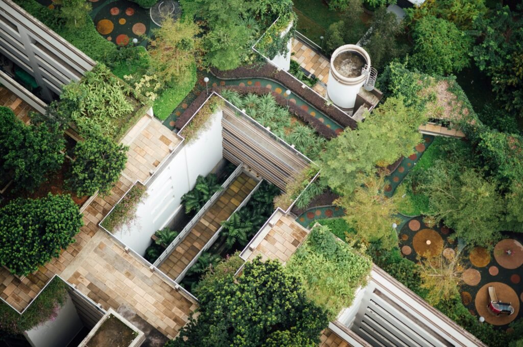 Rooftop space with greenery