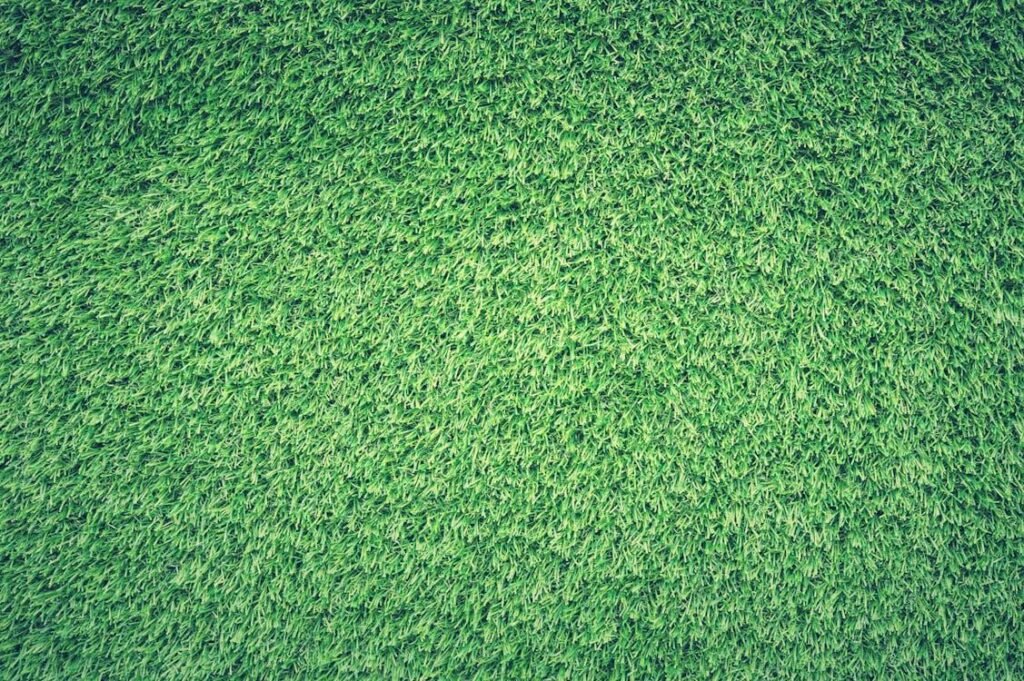 An image of artificial grass