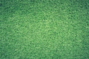 An image of artificial grass