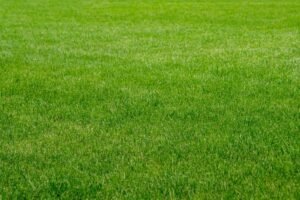 An image of artificial grass