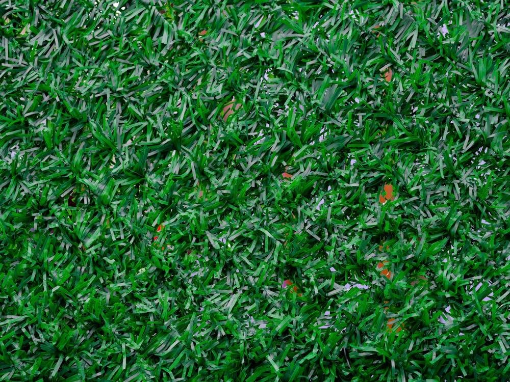 An image of artificial grass