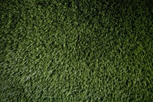 A green turf