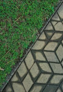 Modern backyard pathway combining natural grass and stone walkway design