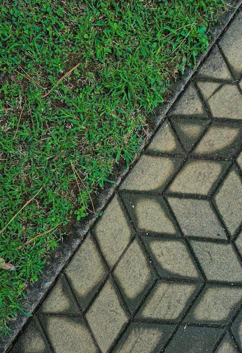 Modern backyard pathway combining natural grass and stone walkway design