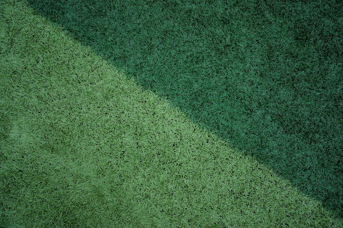 An image of artificial grass