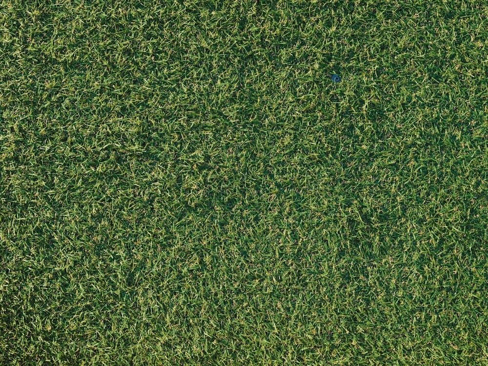 An image of artificial grass